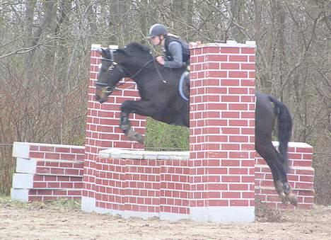 Holstener Grease Lightning billede 9