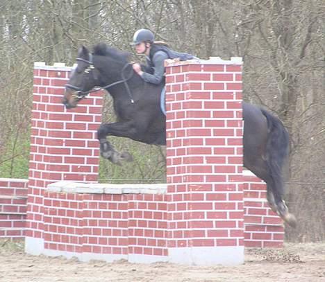 Holstener Grease Lightning billede 10