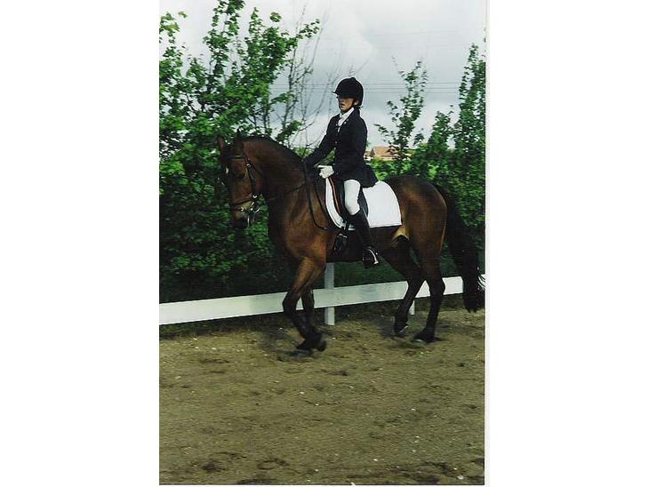 {{currentPhoto.altText}} billede {{currentPhoto.number}}