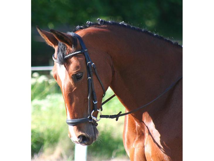 {{currentPhoto.altText}} billede {{currentPhoto.number}}