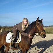 Anden særlig race Vincent Van Gogh