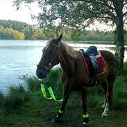 Traver Aka Lendalund