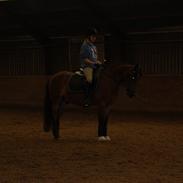 Anden særlig race Mickey  