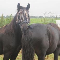 Frieser Thor<3 [SOLGT]