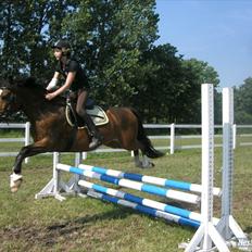 Anden særlig race Victor!