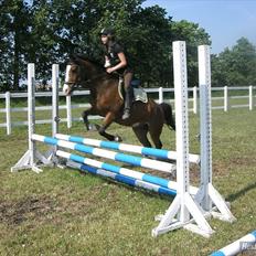 Anden særlig race Victor!