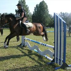 Anden særlig race Victor!