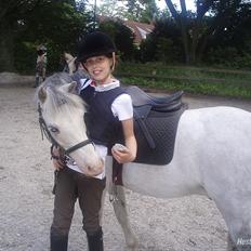 Anden særlig race Lillemand 