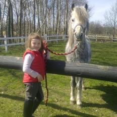 Anden særlig race Filur