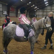 Anden særlig race Filur