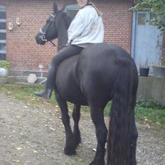 Frieser Frederique R.I.P :'-(