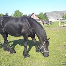 Frieser Frederique R.I.P :'-(