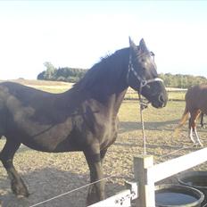 Frieser Frederique R.I.P :'-(