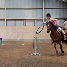 Anden særlig race Brenda/Carina