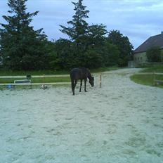 Traver Jet Esteral (Speedy)