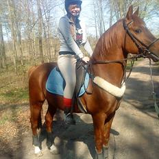 Anden særlig race Bounty