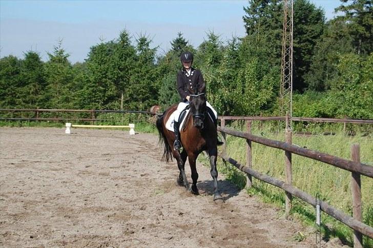 Anden særlig race | CHOPIN. - Klubstævnet. Nr. 2 :D KM-Foto billede 11