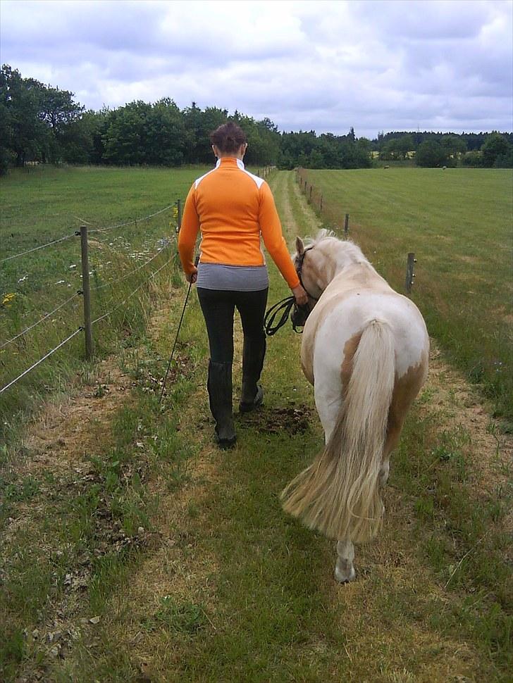 Anden særlig race Bella Star billede 16