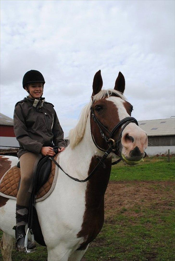 Anden særlig race Freja billede 7