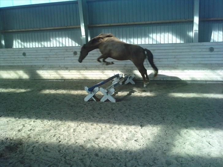 DSP Marqui - Solgt - <3 billede 4