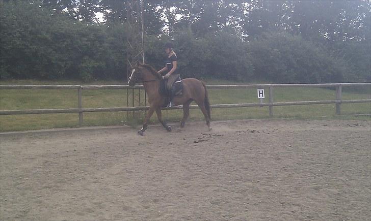 DSP Marqui - Solgt billede 7