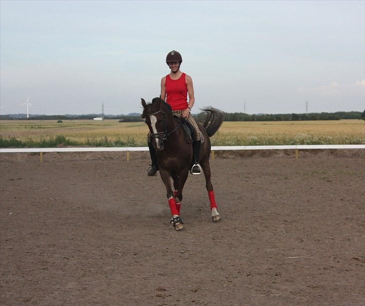 DSP Pajens Olivar - Juli 2010 - Dressurtræning hjemme på gården billede 17