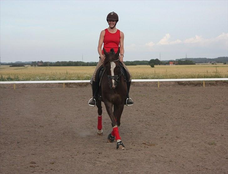 DSP Pajens Olivar - Juli 2010 - Dressurtræning hjemme på gården billede 18