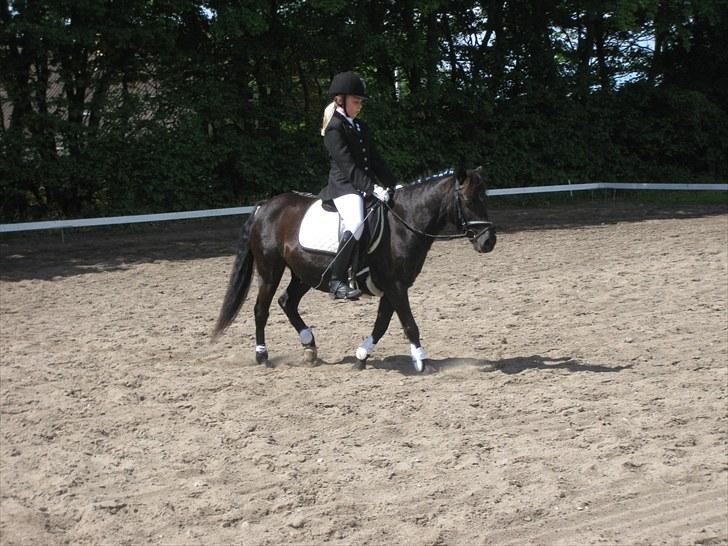 DSP Lisse <3  - LC1 HBRK 2010 2.plads ingen roset billede 5