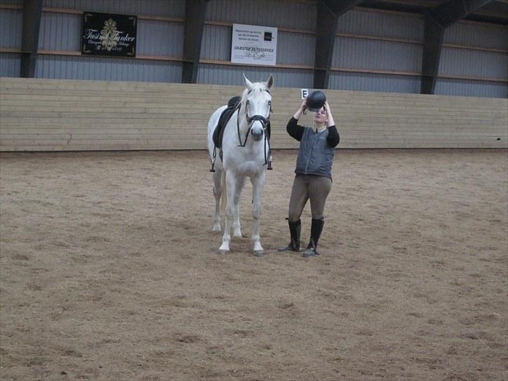 Hannoveraner Ribana billede 12