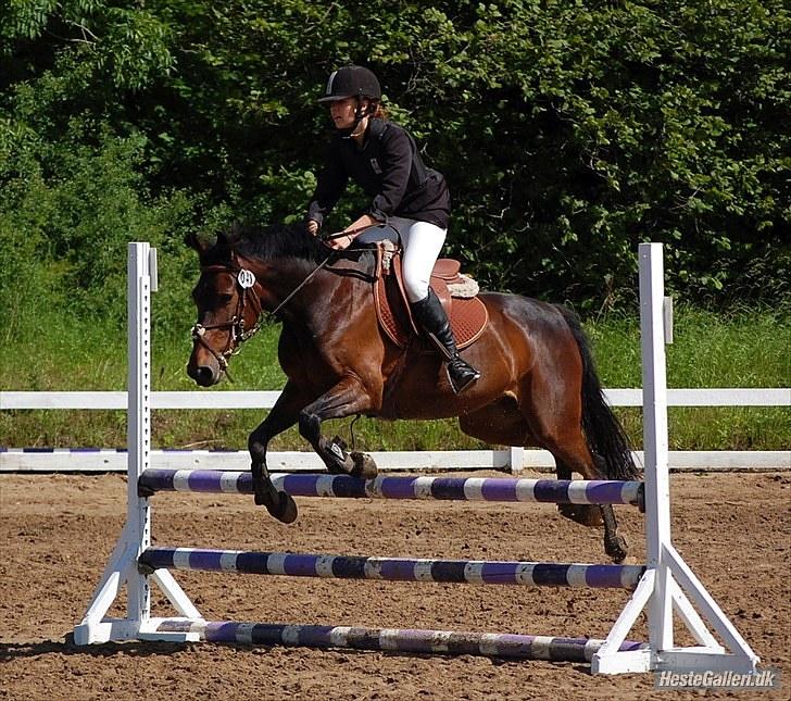 DSP Okay Charlie<3 SOLGT )':  - LC-klubmesterskab i VOSK ... Taget af Veronka Stark, mange tak  billede 14