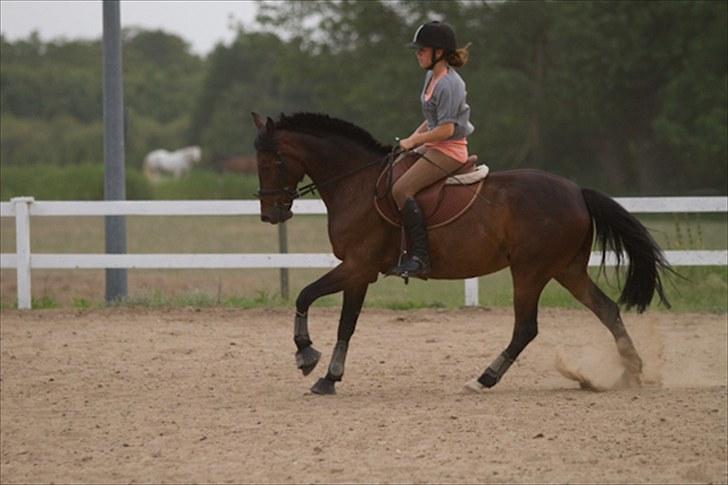 DSP Okay Charlie<3 SOLGT )':  - Dressurtræning 8/6-10 ... Taget af Jack Willum, tark billede 18