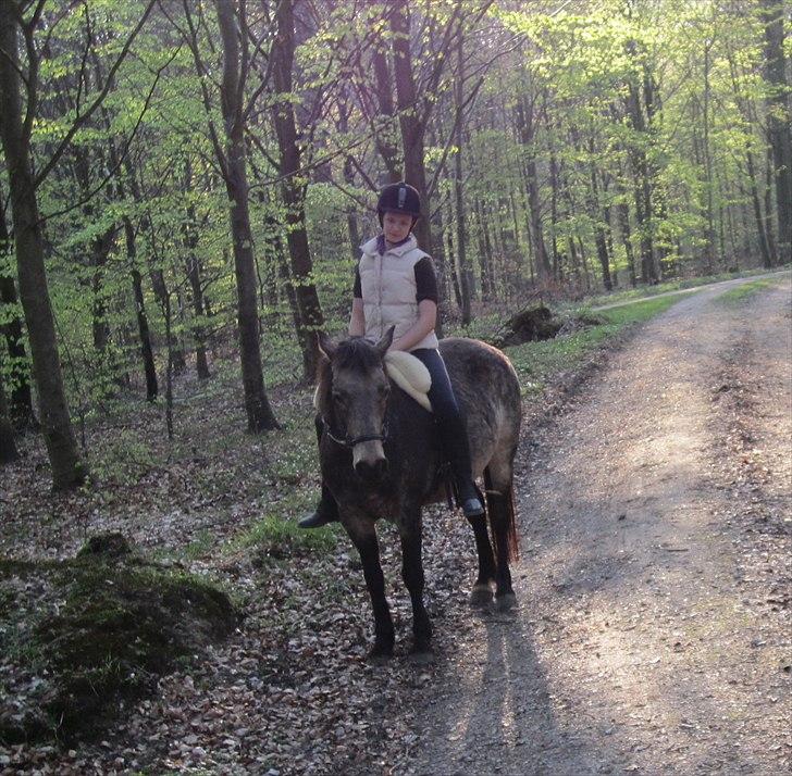 Connemara Goldie - Dejlig aften tur :-* <3 April 2011 billede 20