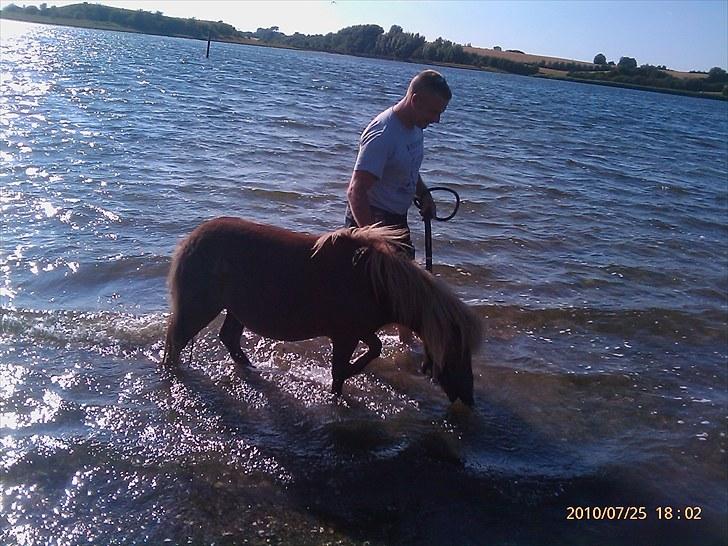 Anden særlig race L.U.F.E.H - første gang i vandet billede 9