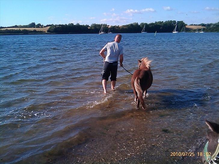 Anden særlig race L.U.F.E.H - det var faktisk sjovt :D billede 10
