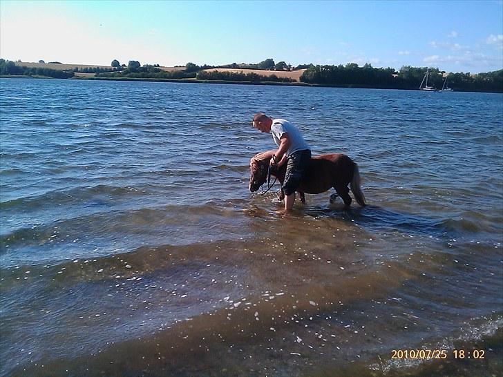 Anden særlig race L.U.F.E.H billede 11