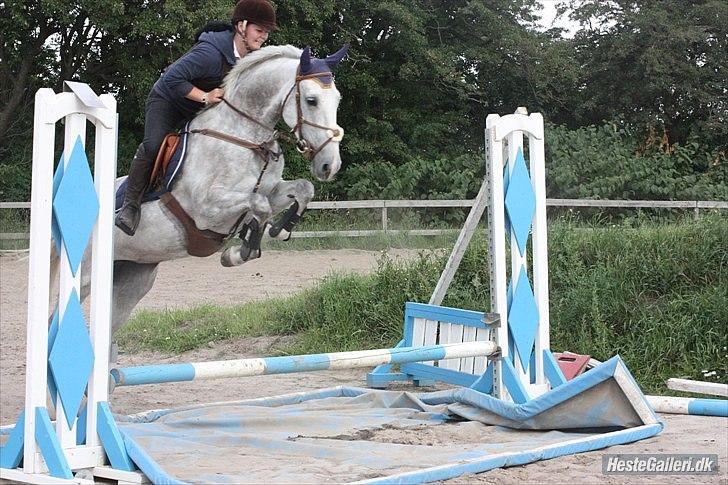 Anden særlig race Sevenhills Tyrone Tigers - Tiger og jeg til Trænings stævne i Bryndumdam ;D første gang hun er hjemmefra d: STOR VAND! - foto : Malene billede 10