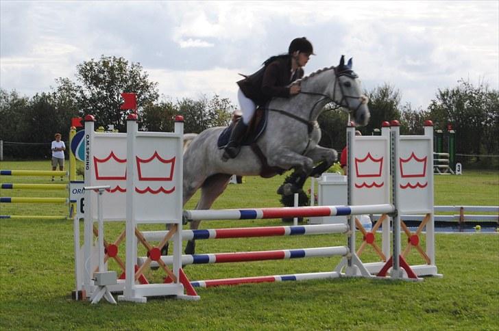 Anden særlig race Sevenhills Tyrone Tigers - Stævne d.3 sep - Tiger´s andet stævne ;D fik 2plads .. billede 12