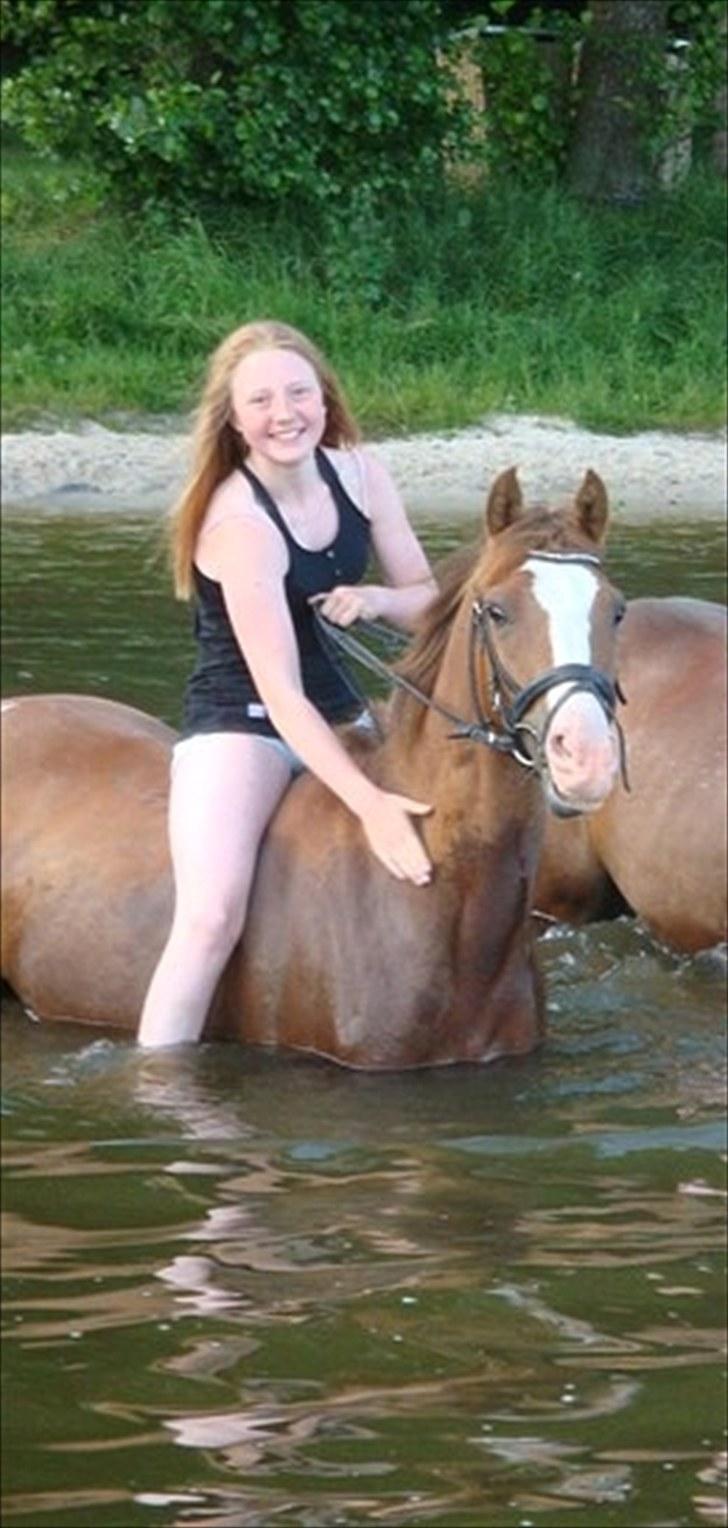 DSP ZIWAGO billede 10