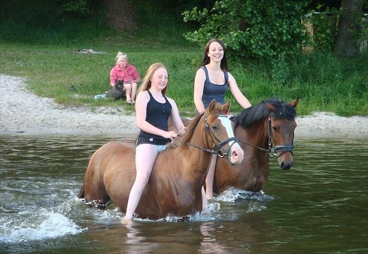 DSP ZIWAGO - Wags og Shadow ;D billede 11