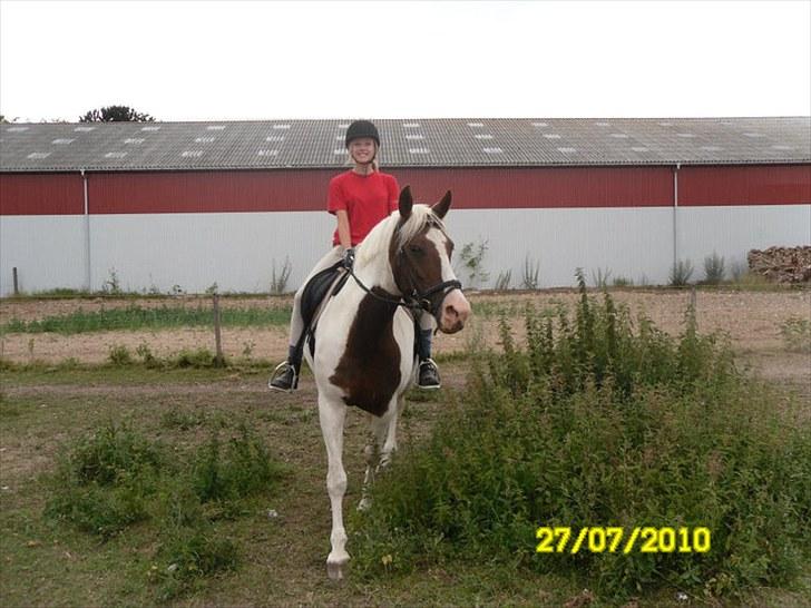 Anden særlig race Freja billede 8