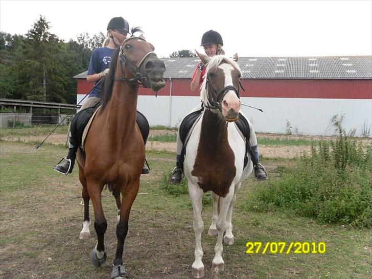 Anden særlig race Freja billede 9