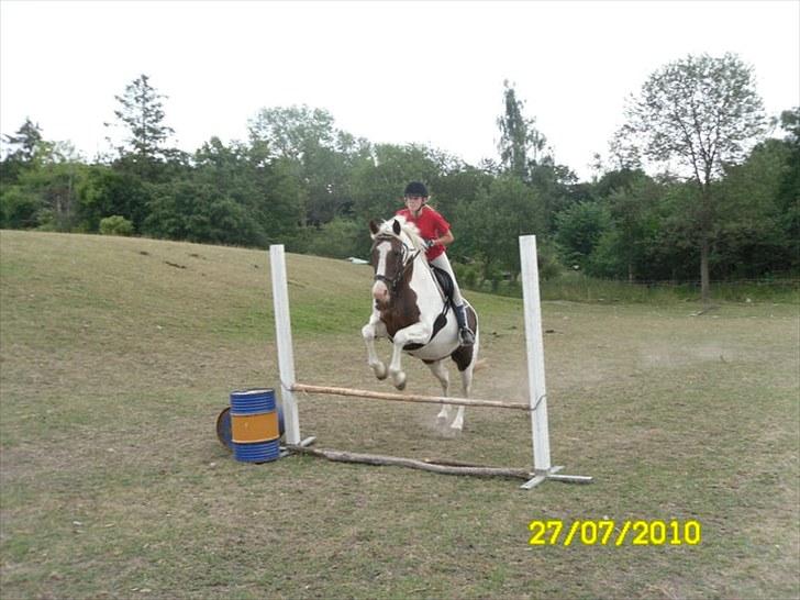 Anden særlig race Freja - uuh :D  billede 12