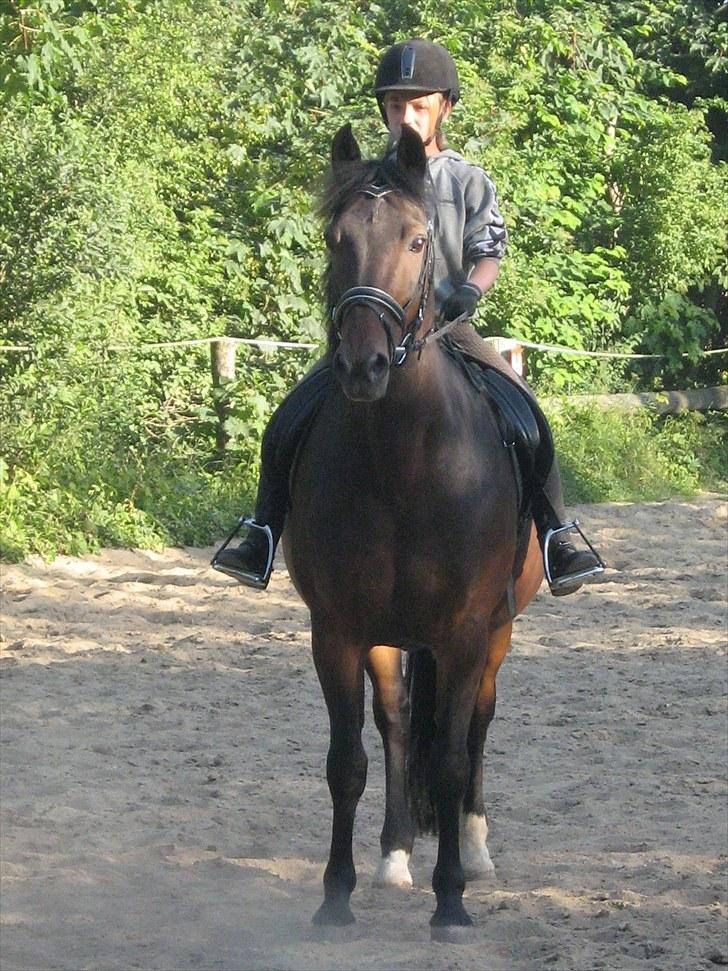 DSP Ricko *Gamle Part* et&alt - 13#  -Taget d. 27/07 -2010: Mor billede 13