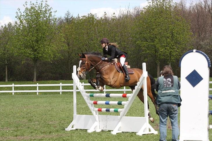 Holstener Mr. Rocky  - Forårsspringning 2010 vallensbæk billede 18