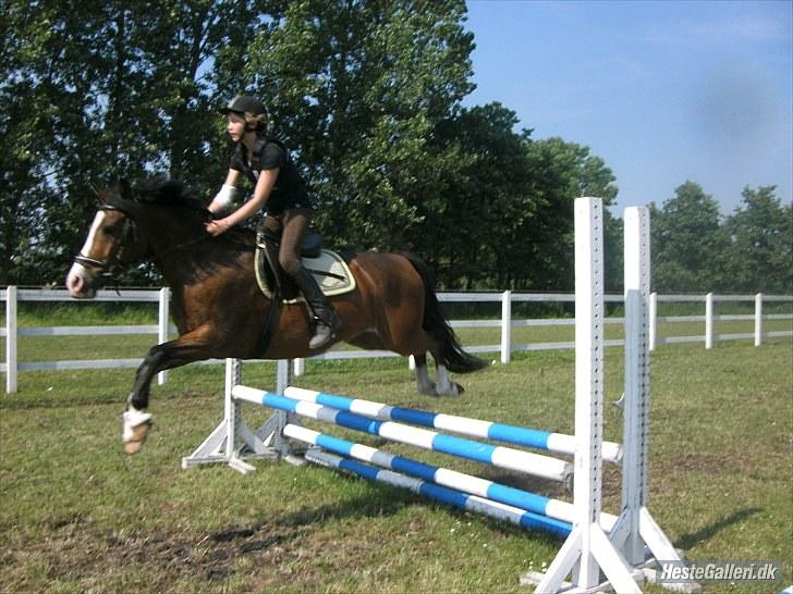 Anden særlig race Victor! billede 1