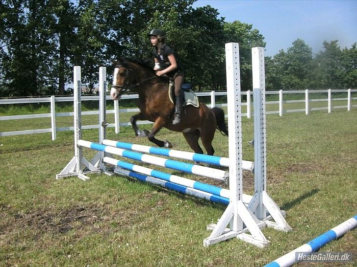 Anden særlig race Victor! billede 2