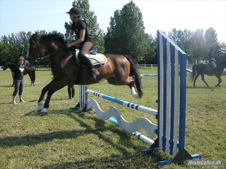 Anden særlig race Victor! billede 3