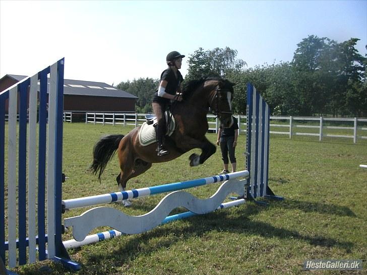 Anden særlig race Victor! billede 5