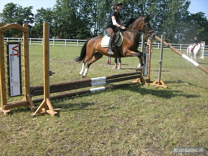 Anden særlig race Victor! billede 6