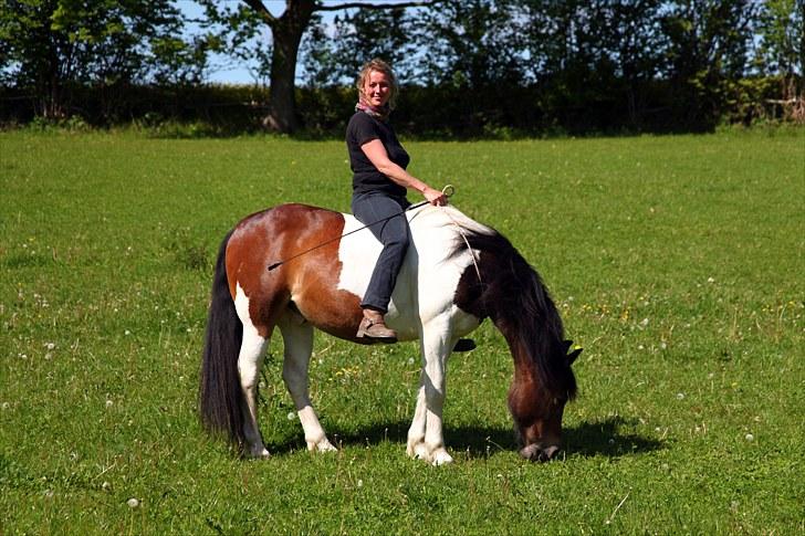 Anden særlig race Indi - Birgitte (ejeren) rider Indi i cordeo, meget afslappet :o) billede 8